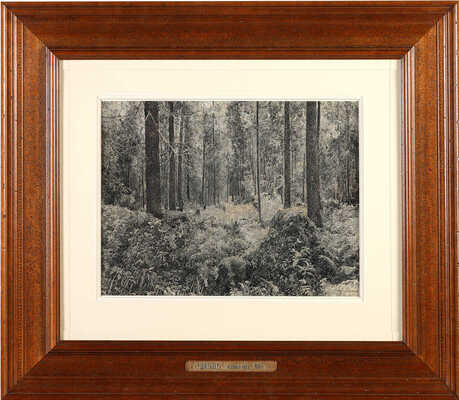 Шильдер Андрей Николаевич. Сосновый бор 